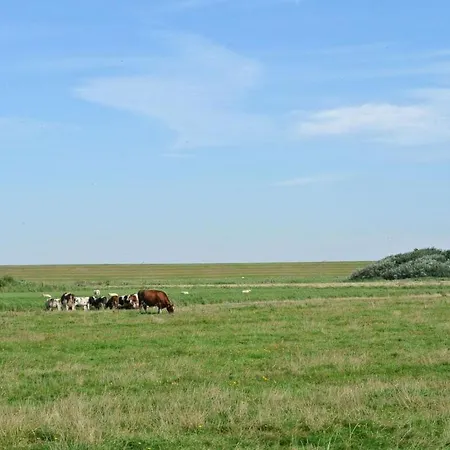 Vanta In The House Aft Diek