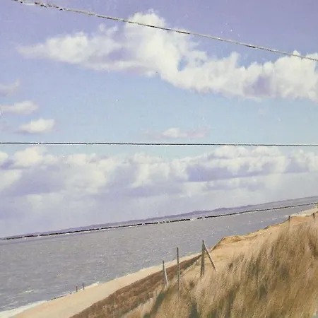 Vanta In The House Aft Diek